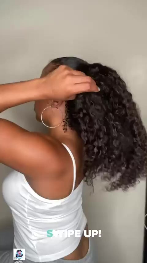 Burmese Curly