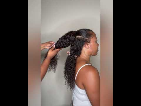 Burmese Curly